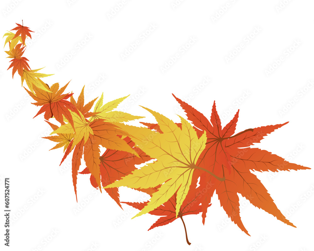 Twisted row of autumn maples leaves. Vector illustration. Twisted row of autumn maples leaves. Vector illustration.