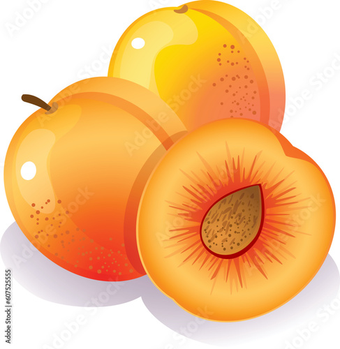 Vector illustration - Three ripe peaches