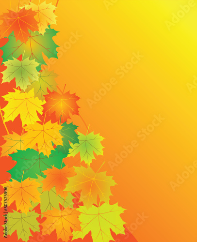 autumn leaves background