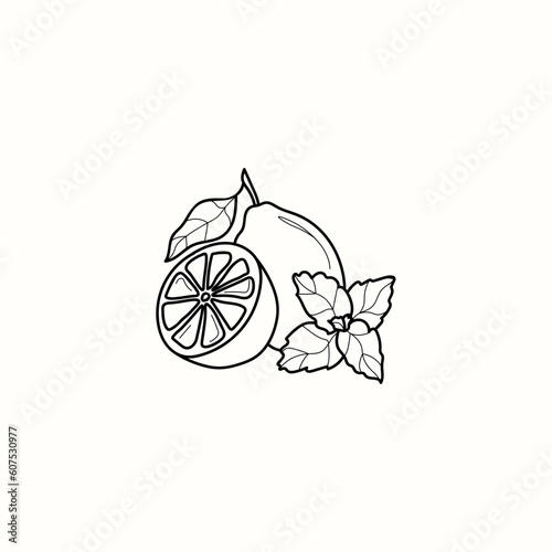 Line art lemon and mint illustration