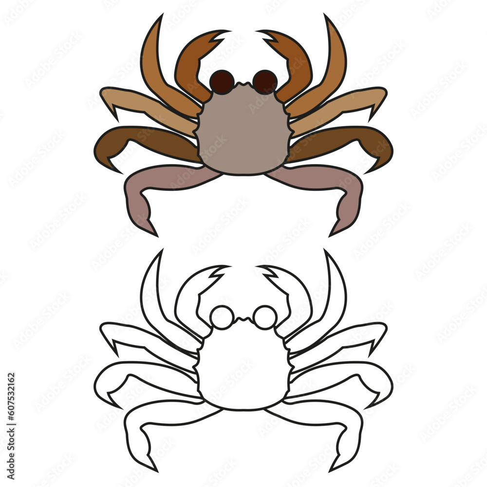 Children's coloring book cartoon sea crab of the crustacean family on a white background. Children's coloring book cartoon sea crab of the crustacean family on a white background.