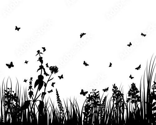 Grass silhouettes ornate on the white background