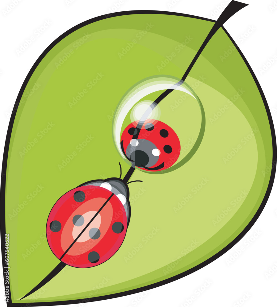 Obraz premium illustration, clip-art, color, art, cartoon, leaf, insect, ladybird, drop, reflex