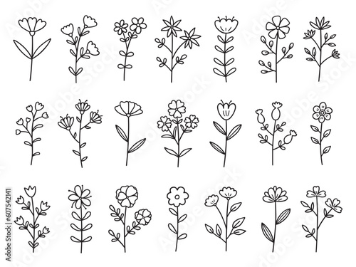 Flowers and leaves doodle set. Floral elements for wedding invitation design in sketch style. Hand drawn vector illustration isolated on white background