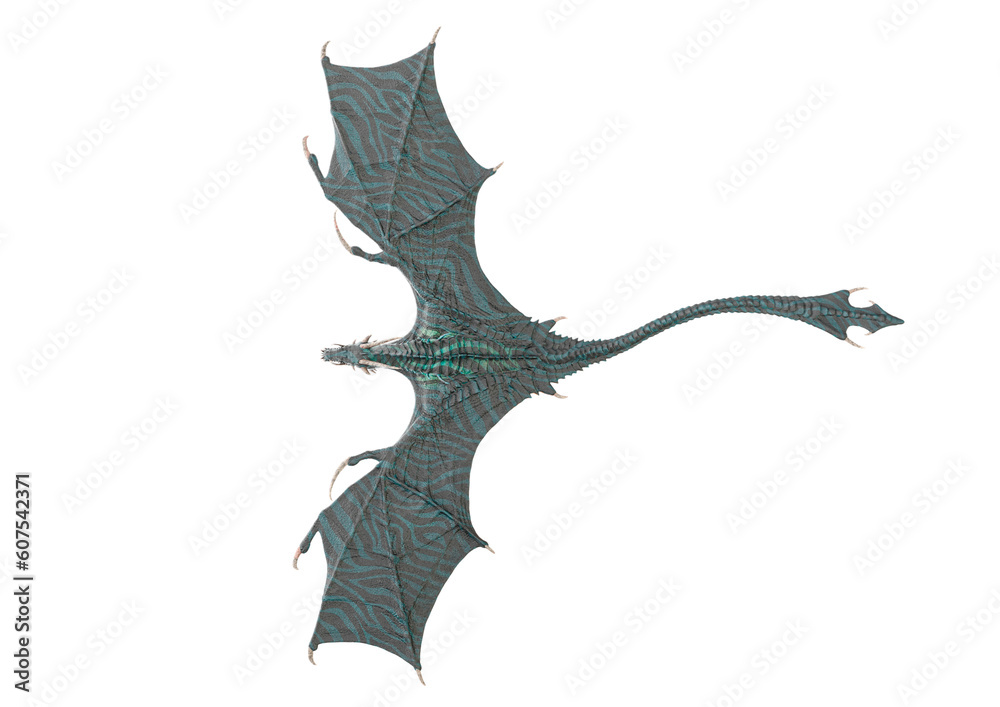 Fototapeta premium dragon is flying on top view