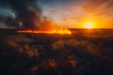 Fire in nature burns grass bushes, drought sunset. Generative AI.