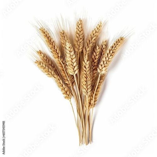Dried spikelets on a white background 