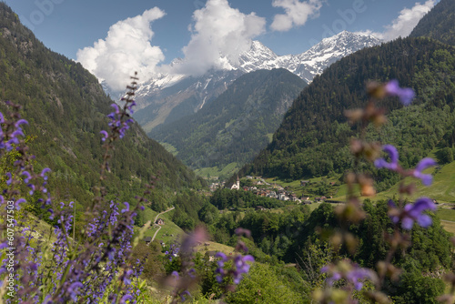Sommer in den Alpen mit Wasserf  llen und Gletschern