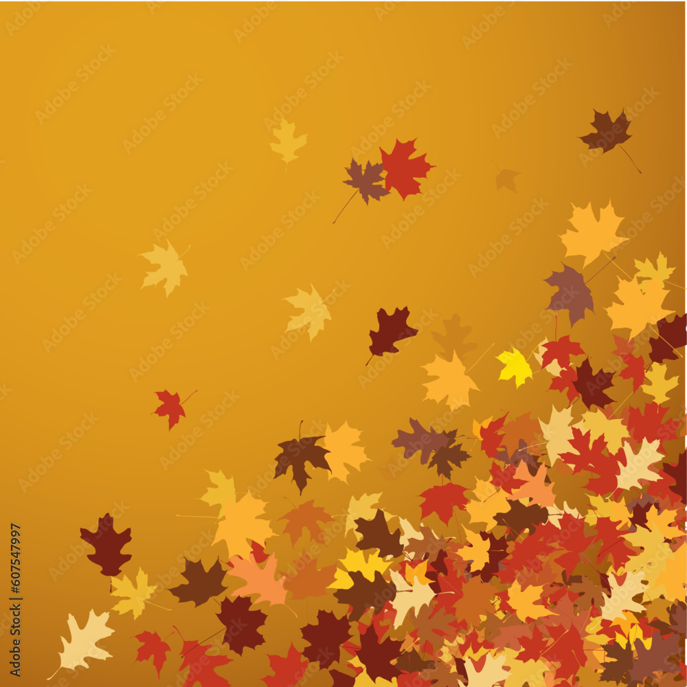 vector image of autumn leaves vector image of autumn leaves