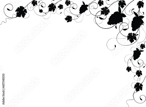 Delicate autmn vine with leaves and grapes
