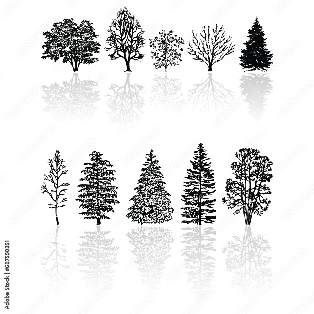 Fototapeta premium Different kind of silhouettes trees isolated over white