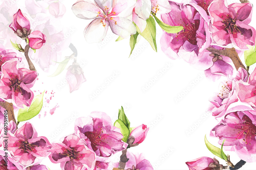 Watercolor pink and white cherry blossoms. Floral sakura frame. Arrangement template illustration.
