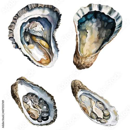 Oysters clipart, isolated vector illustration.