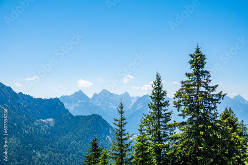 Tannenbäume vor Gebirgspanorama