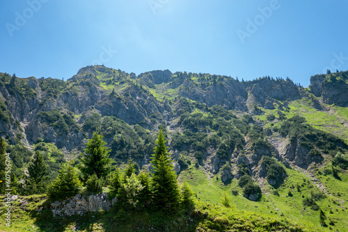 Gebirge mit begrünten Felsen