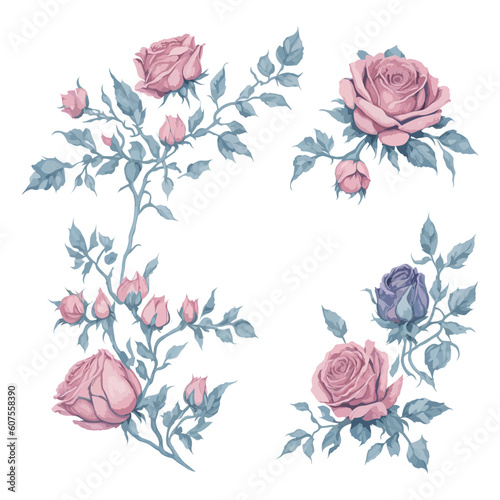 Beautiful Pink Rose Watercolor Floral Illustration Set