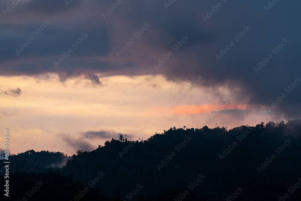 Cloud forest sunset, Mindo cloud forest, Ecuador. Cloud forest sunset, Mindo cloud forest, Ecuador.