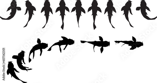 Fish moving