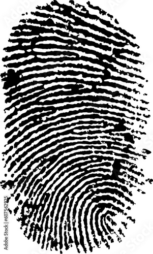 detailed finger print - vector illustration