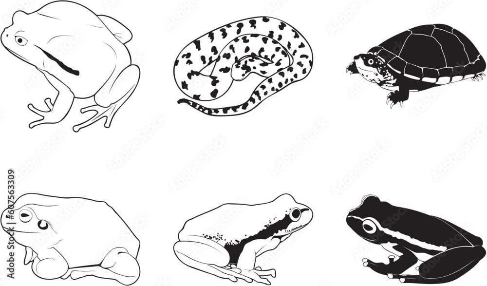 Misc reptiles and amphibians, vector clipart set