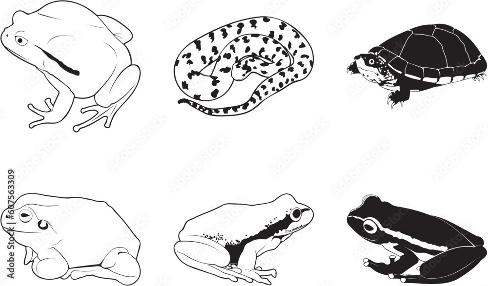 Misc reptiles and amphibians, vector clipart set Misc reptiles and amphibians, vector clipart set