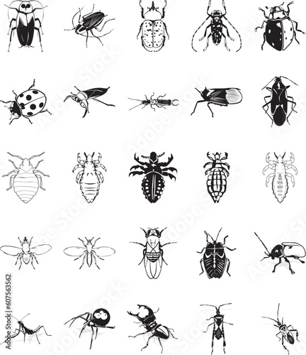 Twenty smooth vector clipart illustration of various insects