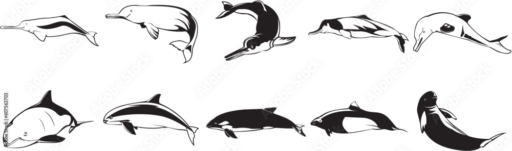 Naklejka premium Collection of smooth vector EPS illustrations of various sharks