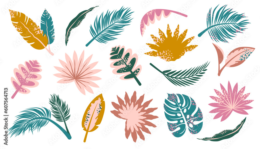 Set of exotic tropical leaves. Bunch of Jungle palm leaf isolated. Modern foliage of rainforest. Modern abstract color nature. Vector flat illustration Set of exotic tropical leaves. Bunch of Jungle palm leaf isolated. Modern foliage of rainforest. Modern abstract color nature. Vector flat illustration