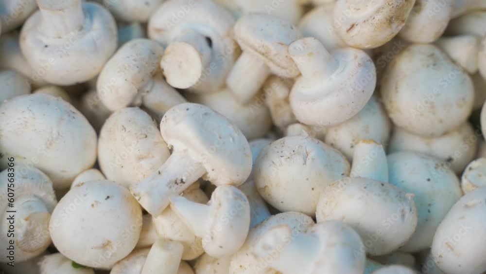 background close-up mushrooms on the table on the counter grocery vegetable market background close-up mushrooms on the table on the counter grocery vegetable market