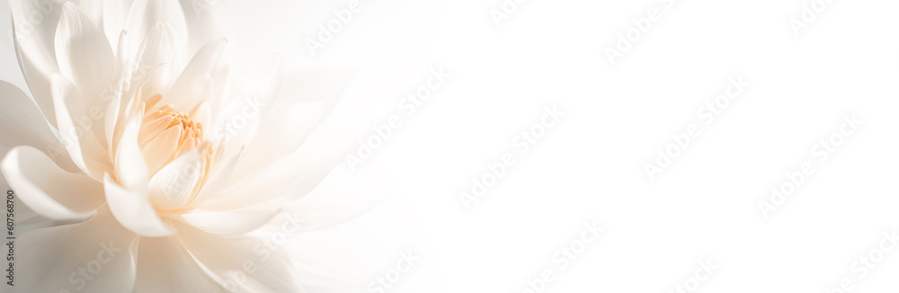 White flower in soft color and blur style for background. Generative AI White flower in soft color and blur style for background. Generative AI