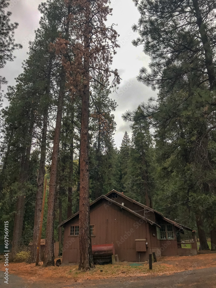 Mount Shasta City Park in California Mount Shasta City Park in California