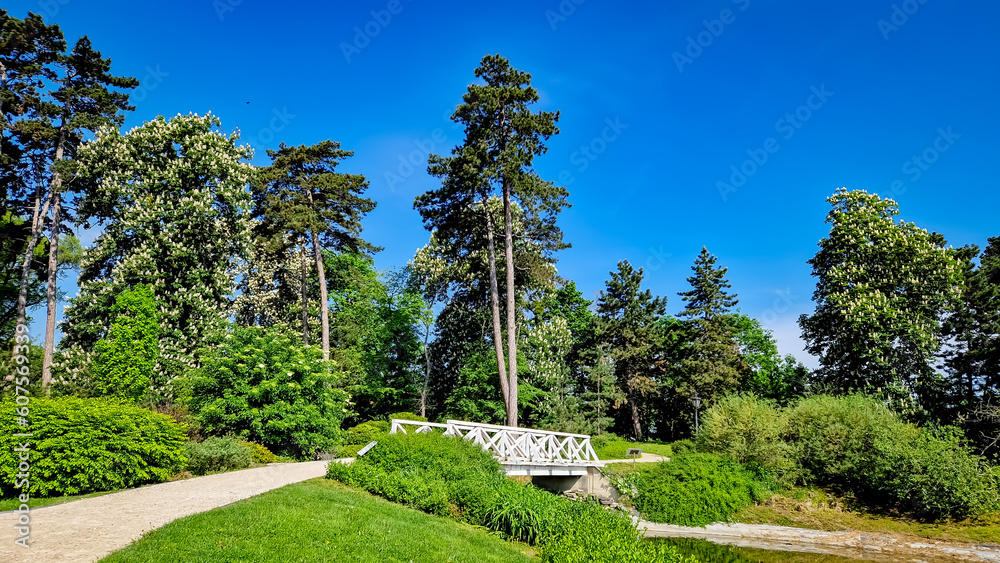 Fototapeta premium garden in the park