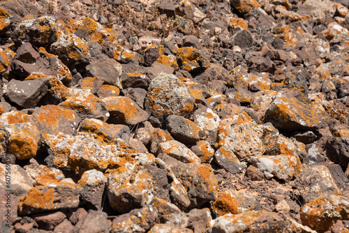 Stones covered with lichen. Abstract background, selective focus. 