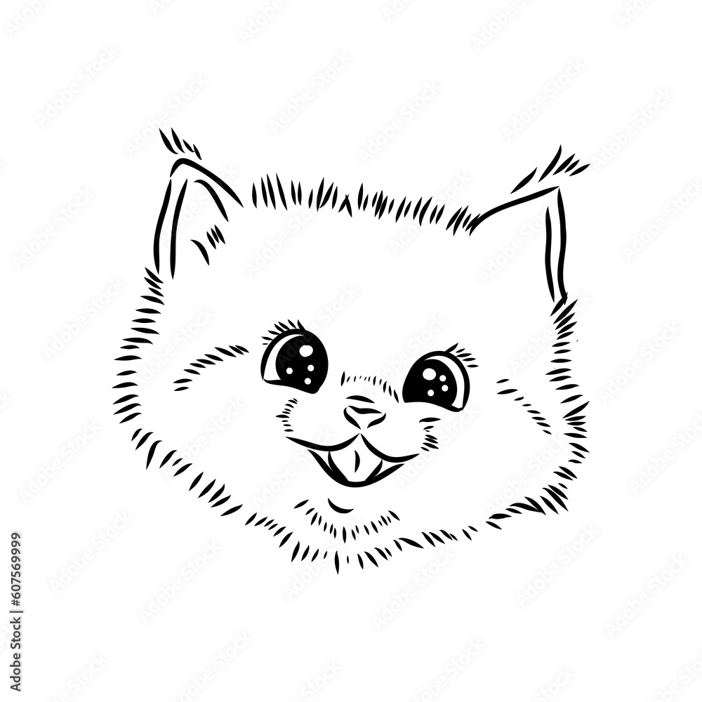 Little cat hand drawn isolated on white background