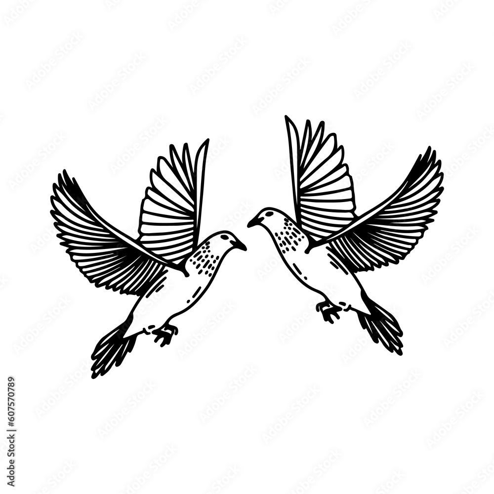 Obraz premium vector illustration of two doves