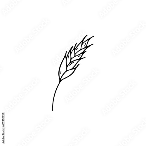 vector illustration of wheat food