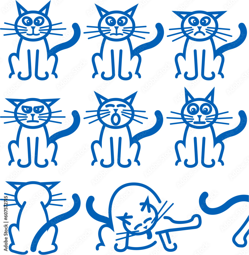 The nine most common expressions of emotion, from a typical household cat.