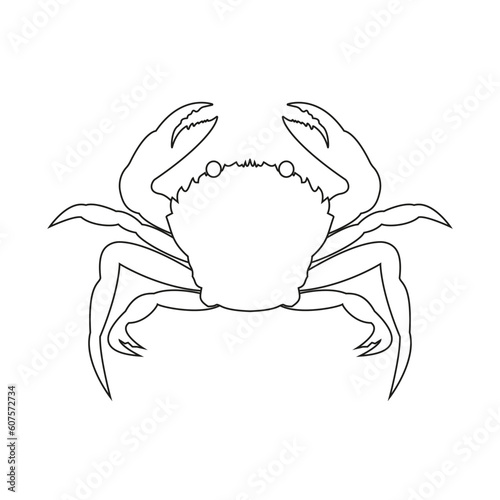 The icon of a sea crab of the crustacean family on a white background.