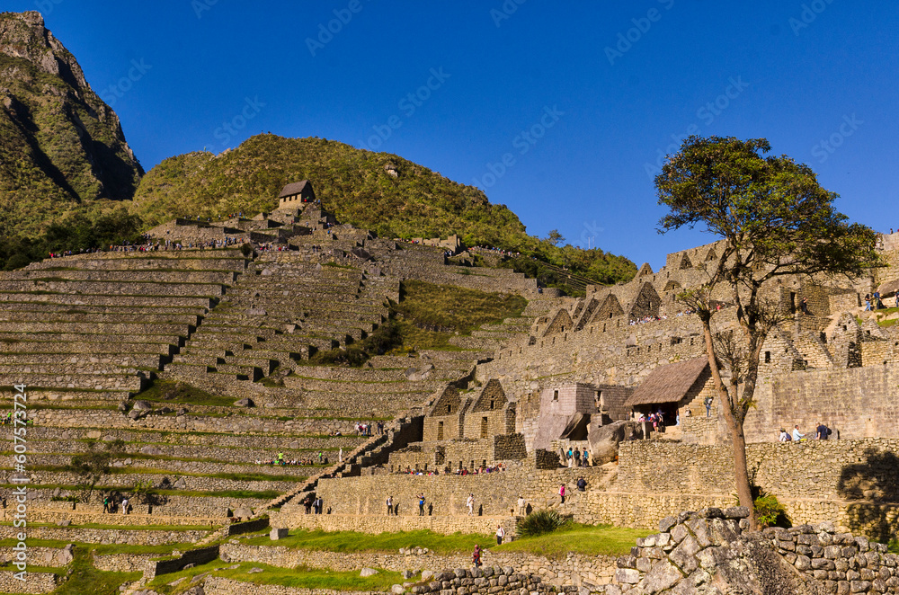Machu Picchu, the wonder of the world of Peru