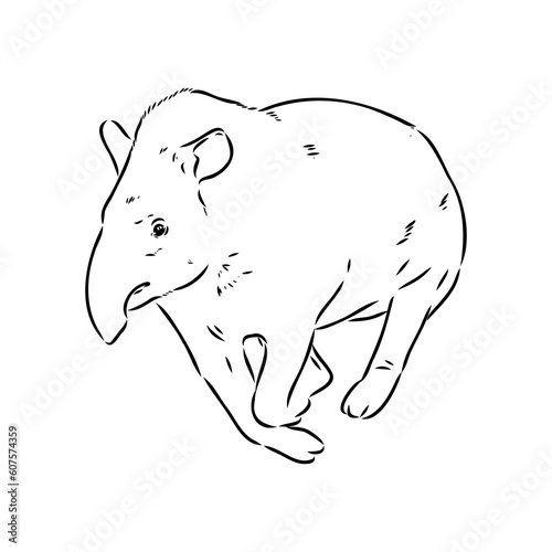 Tapir animal sketch engraving vector illustration. Scratch board style imitation. Hand drawn image.