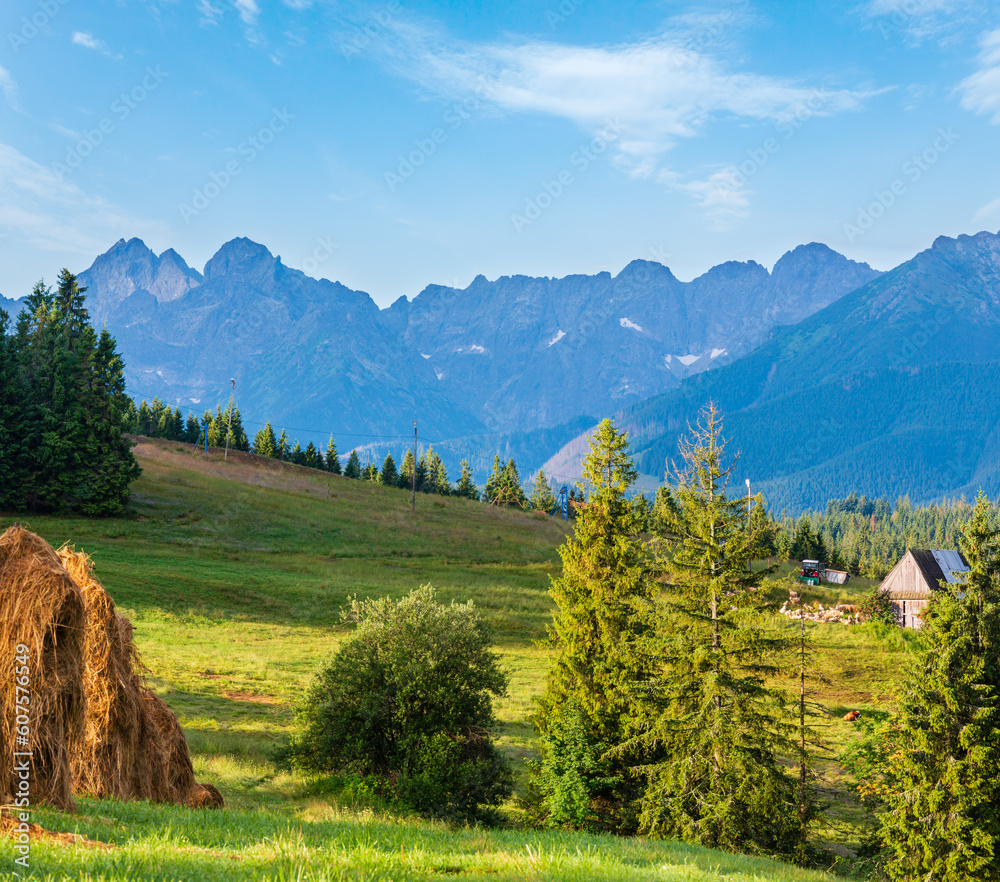 Summer mountain village outskirts with haystacks and Tatra range behind (Poland)