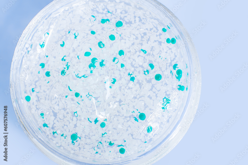 transparent gel with pellets in a Petri dish. On a blue background. transparent gel with pellets in a Petri dish. On a blue background.