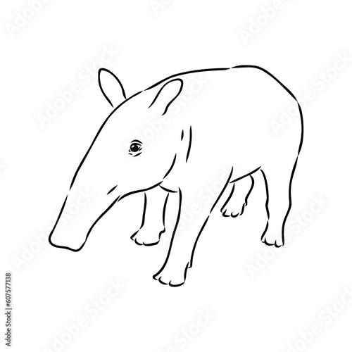 Tapir animal sketch engraving vector illustration. Scratch board style imitation. Hand drawn image.