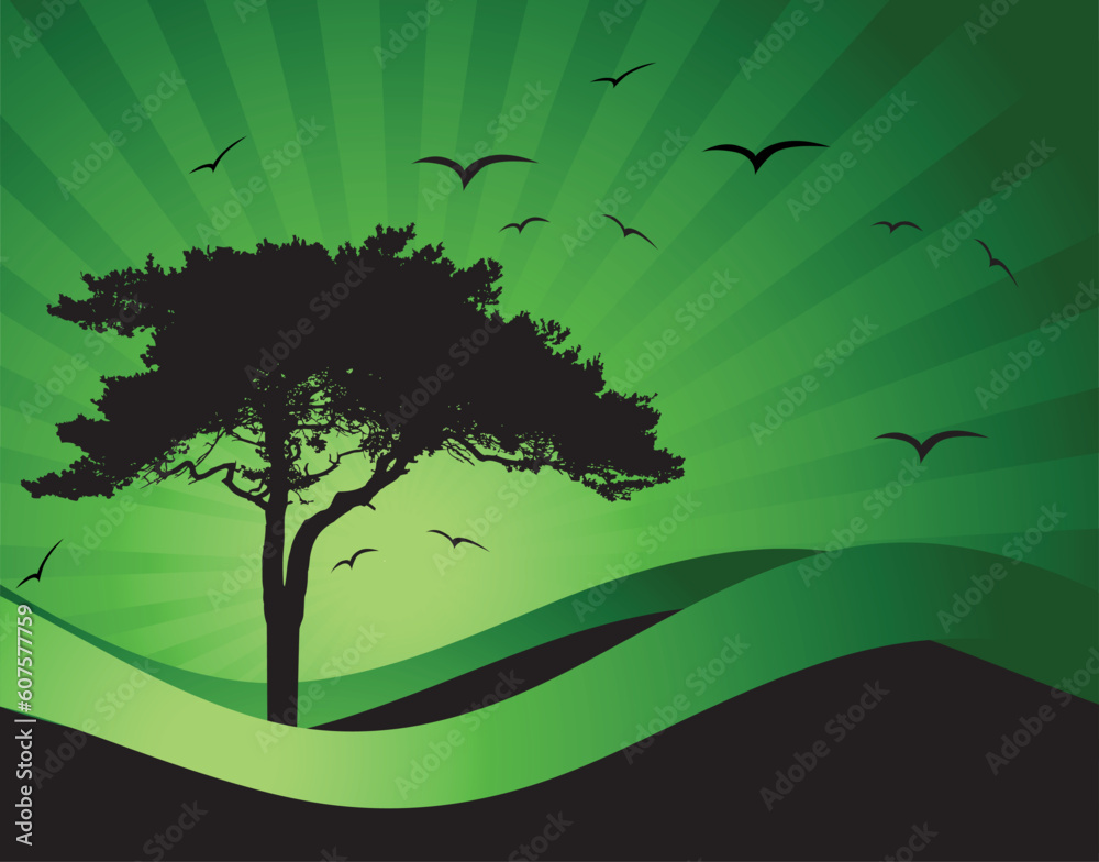 Obraz premium Old tree silhouette, season background