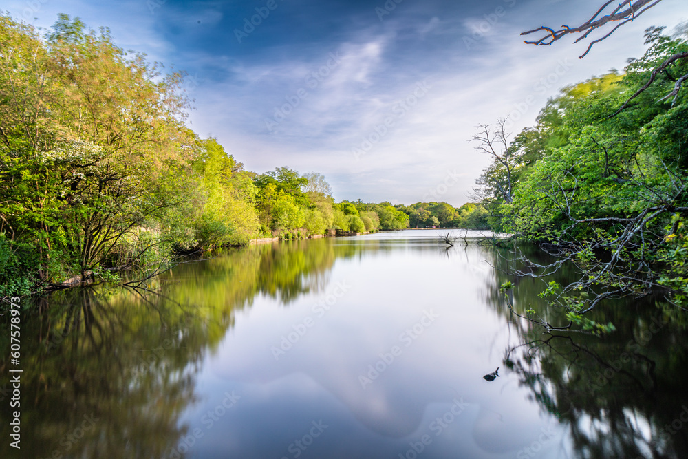 Connaught Water is one of the most popular lakes to walk around in Epping Forest, largely because of its wildlife and close proximity to Chingford.