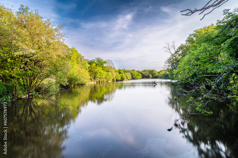 Connaught Water is one of the most popular lakes to walk around in Epping Forest, largely because of its wildlife and close proximity to Chingford. Connaught Water is one of the most popular lakes to walk around in Epping Forest, largely because of its wildlife and close proximity to Chingford.