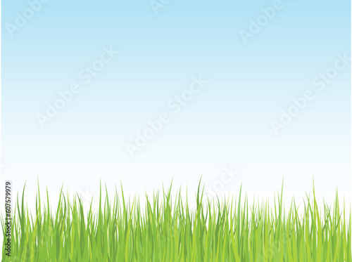 Grass against blue sky