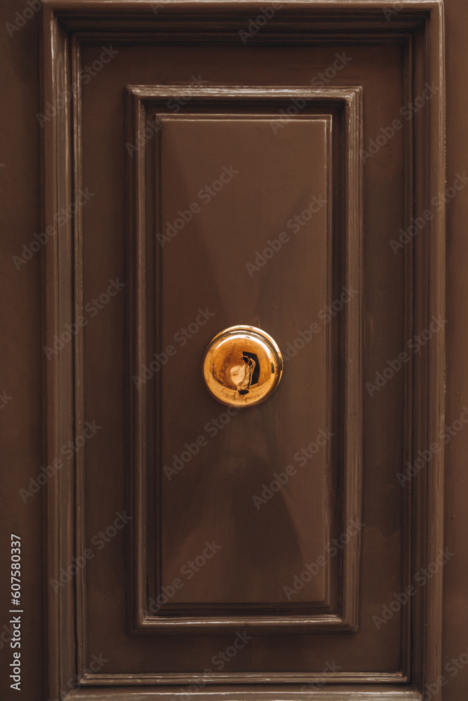 Obraz premium Old door knocker