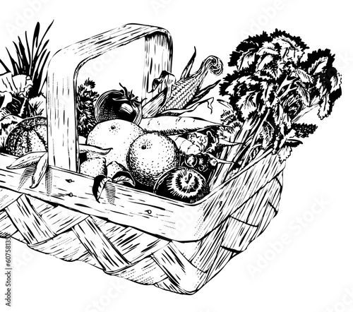 Vintage 1950s etched-style harvest of fruit and vegetables in a basket; detailed black and white from authentic hand-drawn scratchboard. Basket is complete.