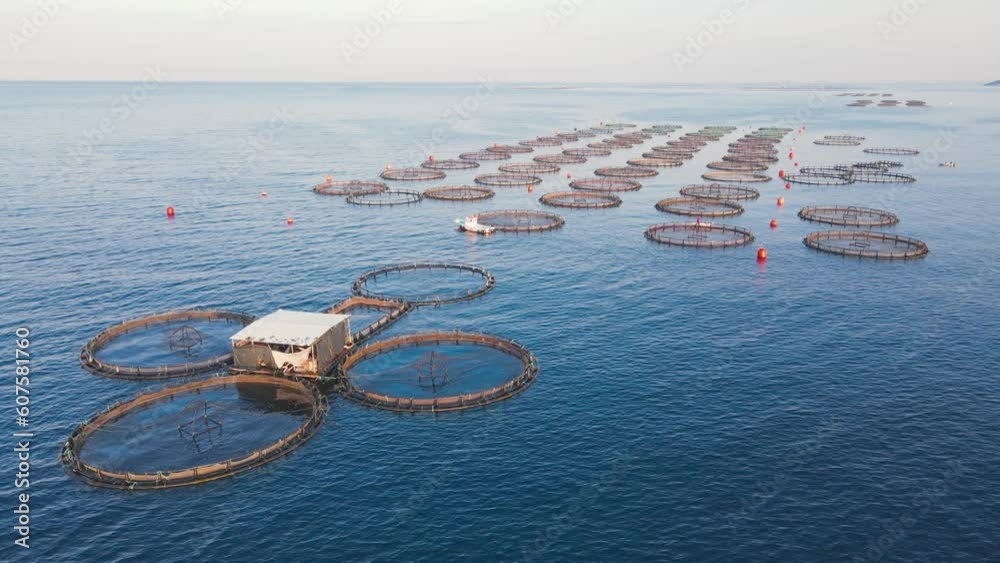 Offshore floating fish farming cages in open sea. Aquaculture fish farm ...